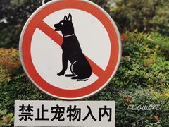 -龙头寺公园