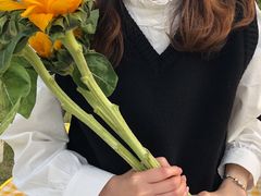 -映月湖中央公园