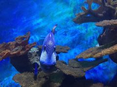 -多彩贵州城极地海洋世界