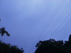 -墨池公园