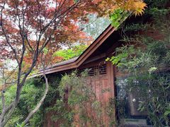 -三圣花乡旅游区