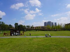 -府河摄影公园