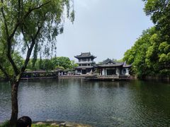 -无锡蠡湖国家湿地公园-蠡园