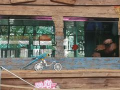 -南宫五洲植物乐园