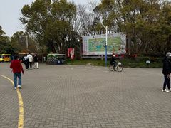 -上海海湾国家森林公园