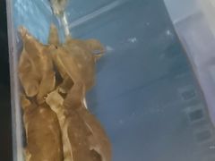 -小湘旺臭鳜鱼·新湘菜(马连道路店)