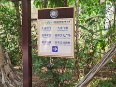 -西双版纳原始森林公园