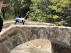 -楠溪江风景名胜区