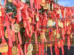 -剑门关风景区