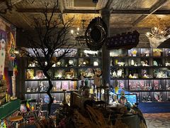 -雪灵魔法世界SHELLY’S TAROT(大良桂畔里店)