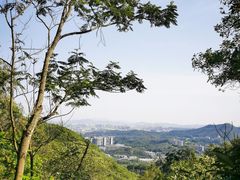-大屏嶂森林公园