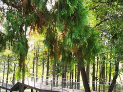 -洪泽湖古堰景区