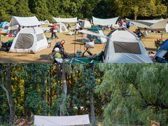 -上海共青森林公园