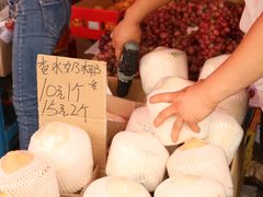 -红星农博物流中心