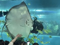 -苏州海洋馆