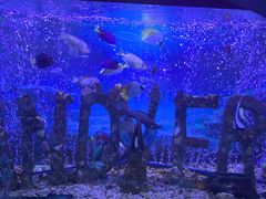 -太平洋海底世界