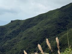 -大围山国家森林公园