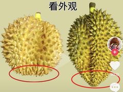 -堤口果品批发市场