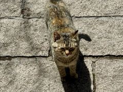 -崂山巨峰游览区