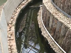 -呀路古热带植物园
