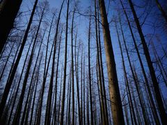 -南京金牛湖风景区