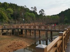 -神光山国家森林公园