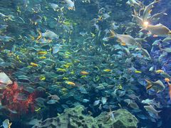 -成都浩海立方海洋公园