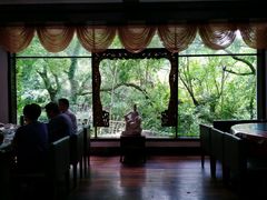 景观位-绿野餐厅(上海动物园店)