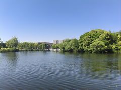 -新江湾城公园