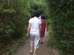 -桤木河湿地公园