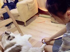 -白兔子密室(长寿路店)