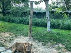 -北京野生动物园