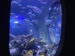 -成都浩海立方海洋公园