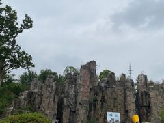 -秀丽东方