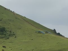 -大姆山草场