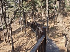 -北京十三陵国家森林公园蟒山景区