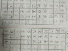 -赵汝飞练字硬笔书法(静安寺校区)