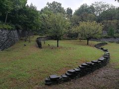 -美丽洲堂