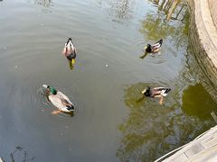 -南宫五洲植物乐园