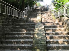 -白水寺森林公园