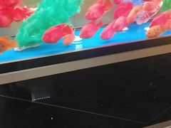 -臻享养生·SPA·影院式足道(汇臻店)