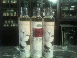 -法国安杰玛SPA会所