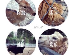 -长白岛森林公园