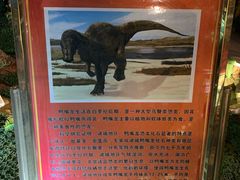 -诸城市恐龙博物馆