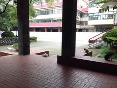 -上海财经大学-绿叶食堂