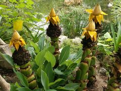 -南通洲际绿博园