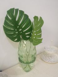 -安那般那皮肤年轻化ANAPANA