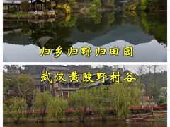 -黄陂区野村谷景区