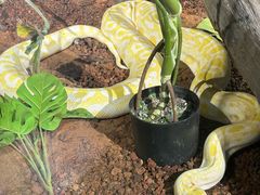 -石林冰雪海洋世界