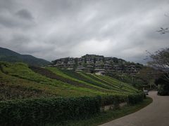 -呀诺达热带雨林